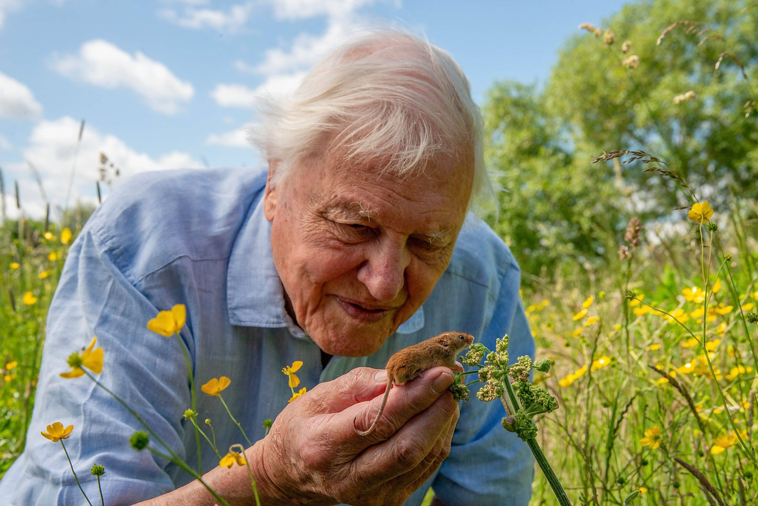 Sir David onthult Londense wonderen: EO zendt 'Attenborough: Wild London' op zijn 100e