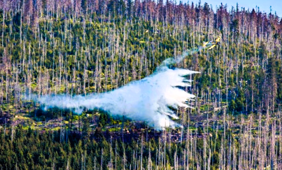 Waldbrand! Touristen auf dem Brocken gefangen! Rettungsaktion auf beliebtem Touristen-Ziel!