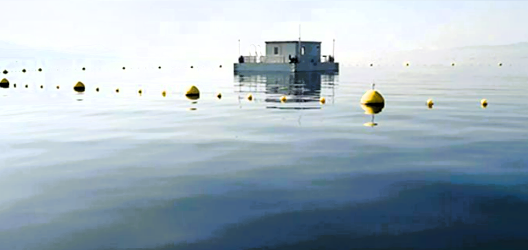 Putin entfernt Grenzmarkierungen zu Estland! Droht ein Angriff auf die NATO?